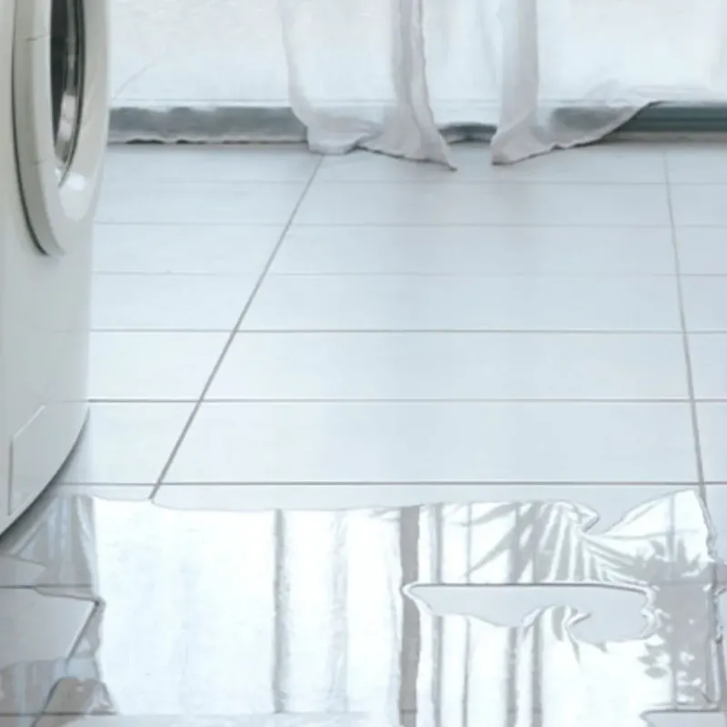 Appliance Leak Cleanup in Mammoth, AZ